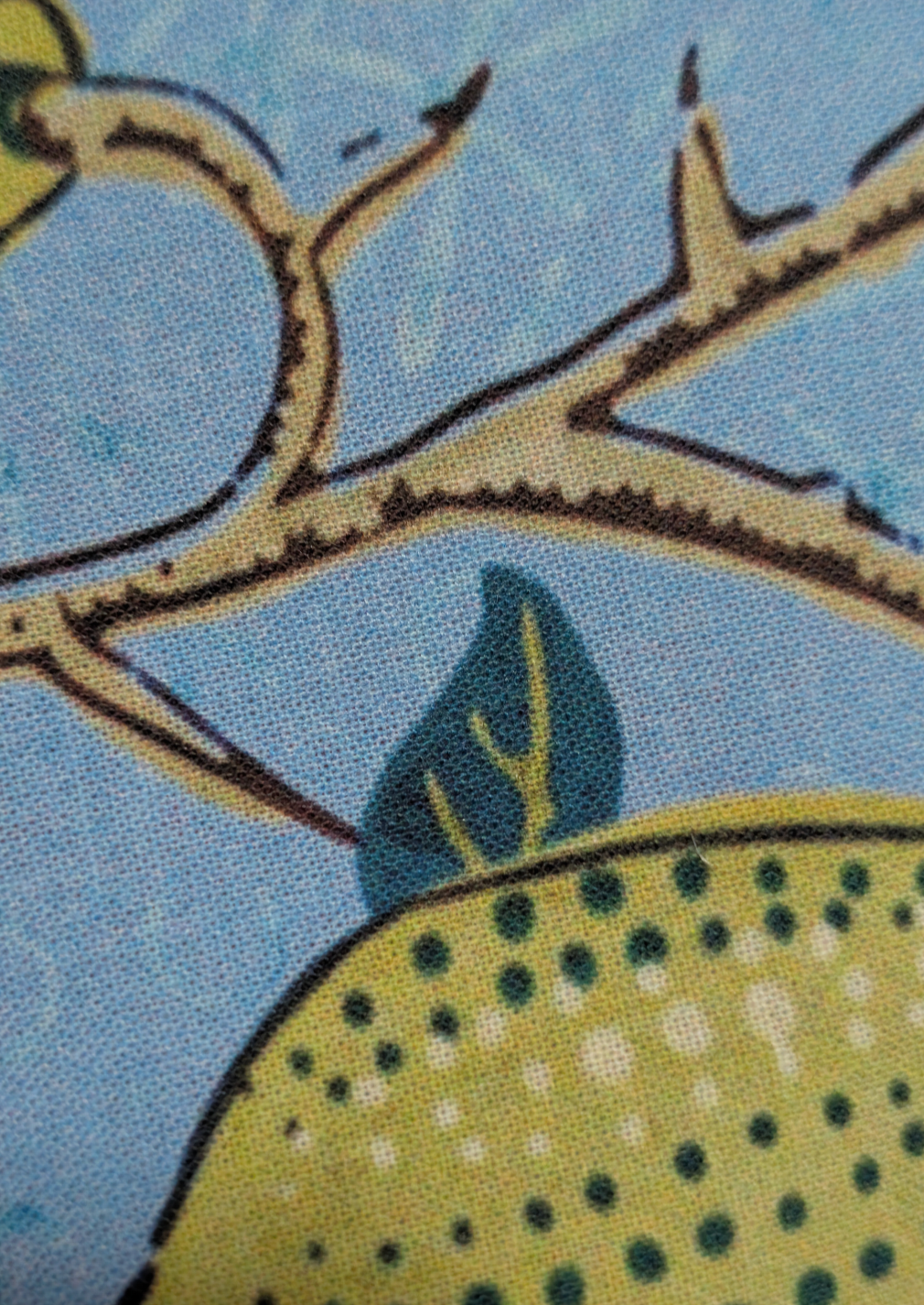 Discontinued Cocoon Sleeve - Four Fruits, Petal Cotton