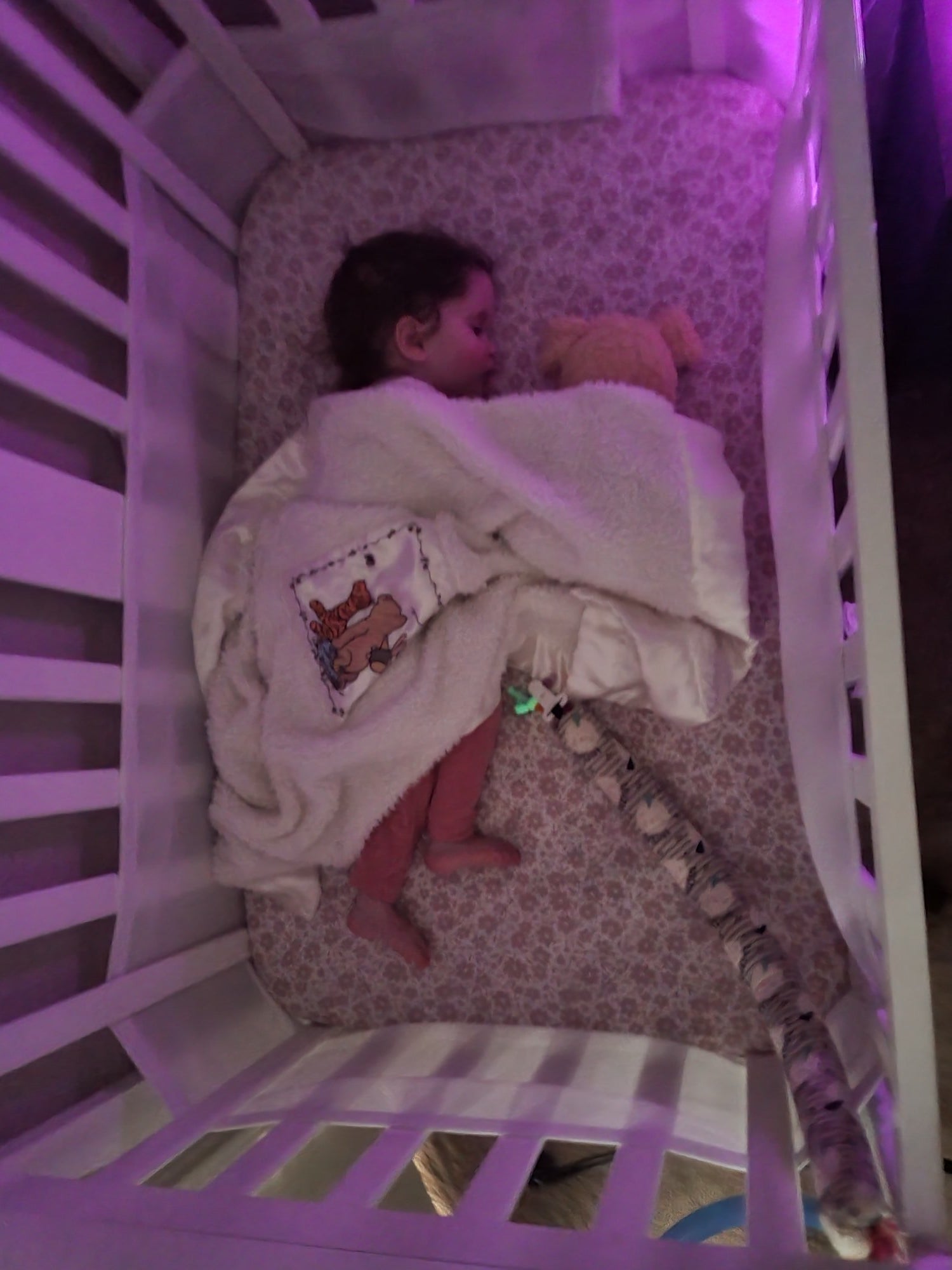story-kate-crib-7.jpg